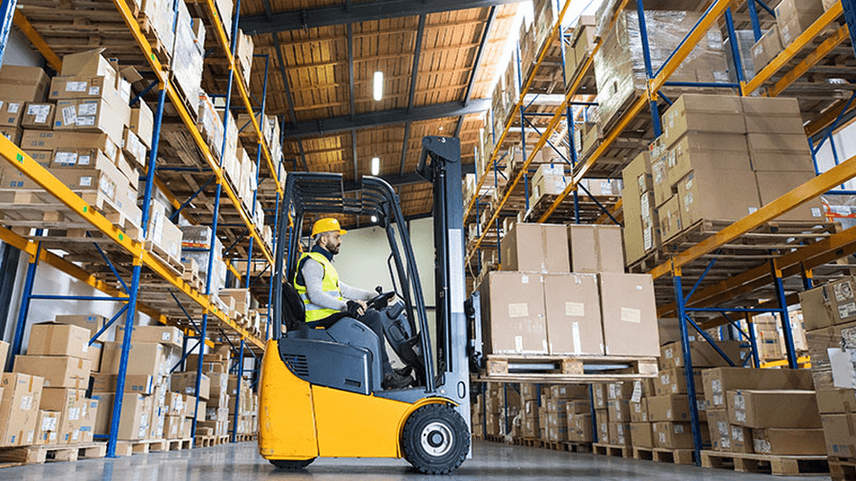 Warehouse And Forklift Operator