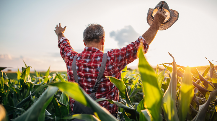 Building a Resilient Future for Farms in a Changing Climate