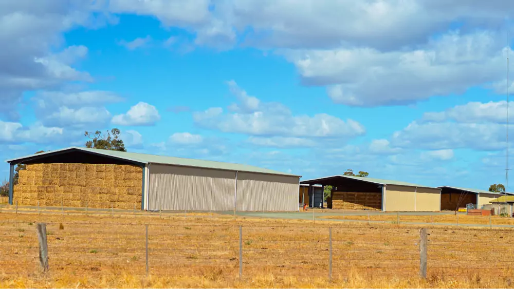 A farm with hay bales in the middle of a field for feed purposes.