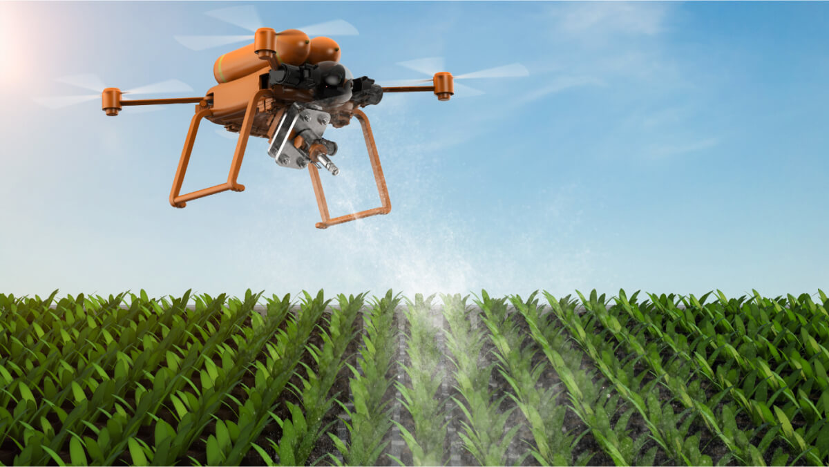 A drone flying over a field of plants