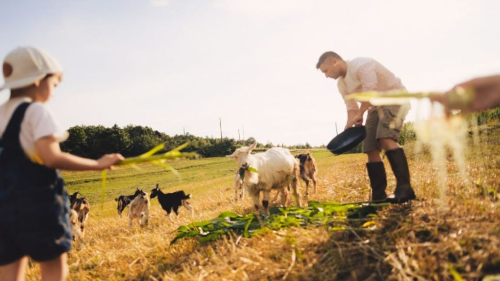 How Farms Can Win Tough Financial Challenges