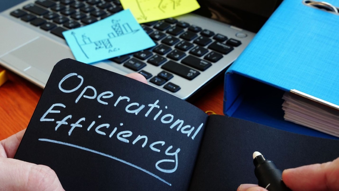 Risk Assessment for Operational and Budget Efficiency 