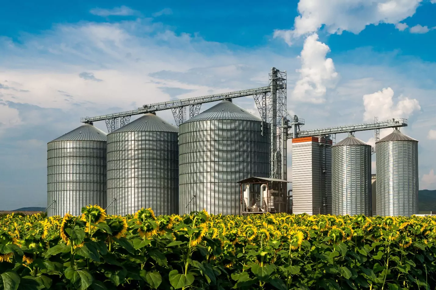 Harvesting Growth Under the Farm Bill 2024