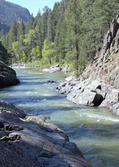 A river flows through a rocky canyon lined with pine trees