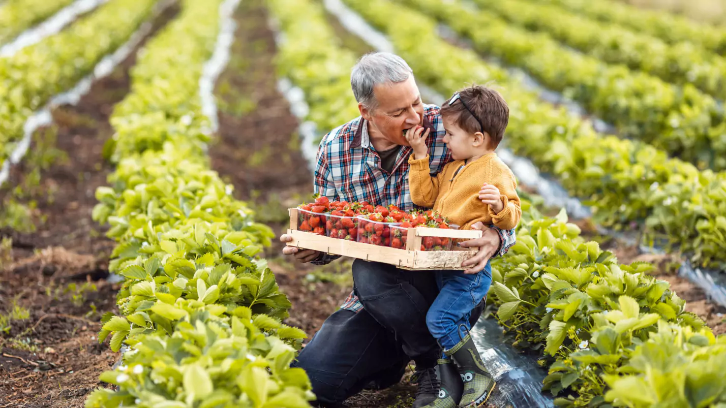 Children and Older Man holding ripe strawberries with smiles on their faces