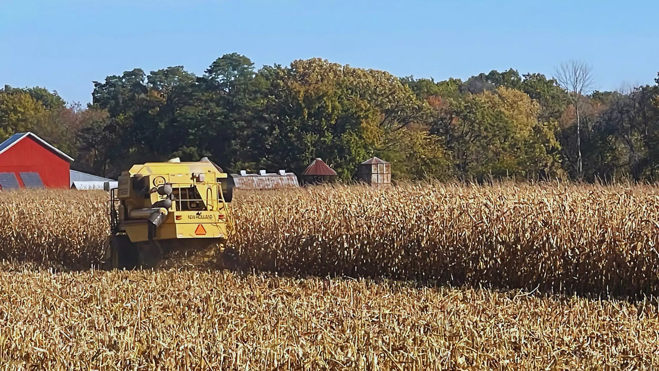 Farm Payroll - Tractor in Farm