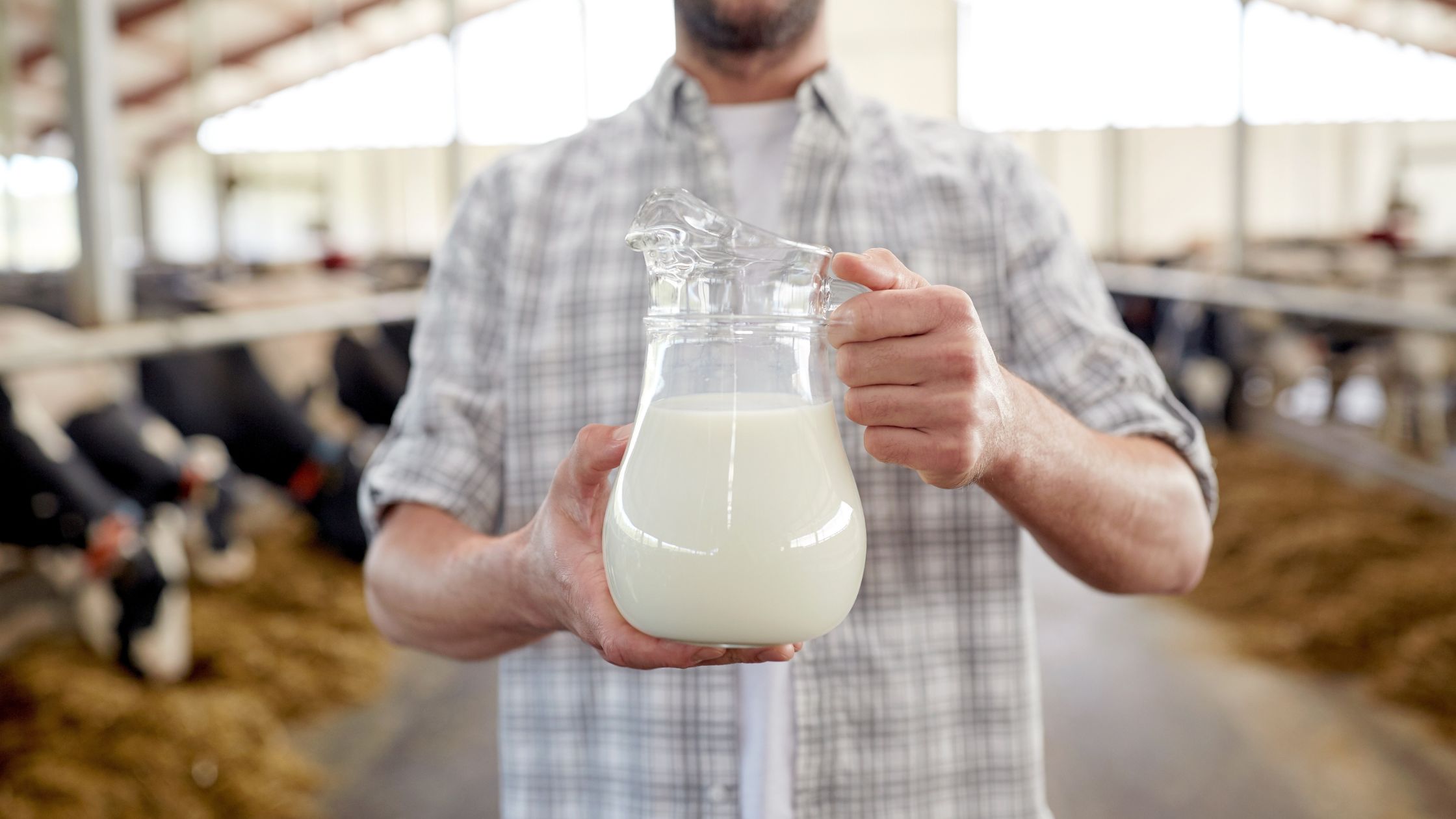 Smart Tax Strategies for Dairies and Creameries