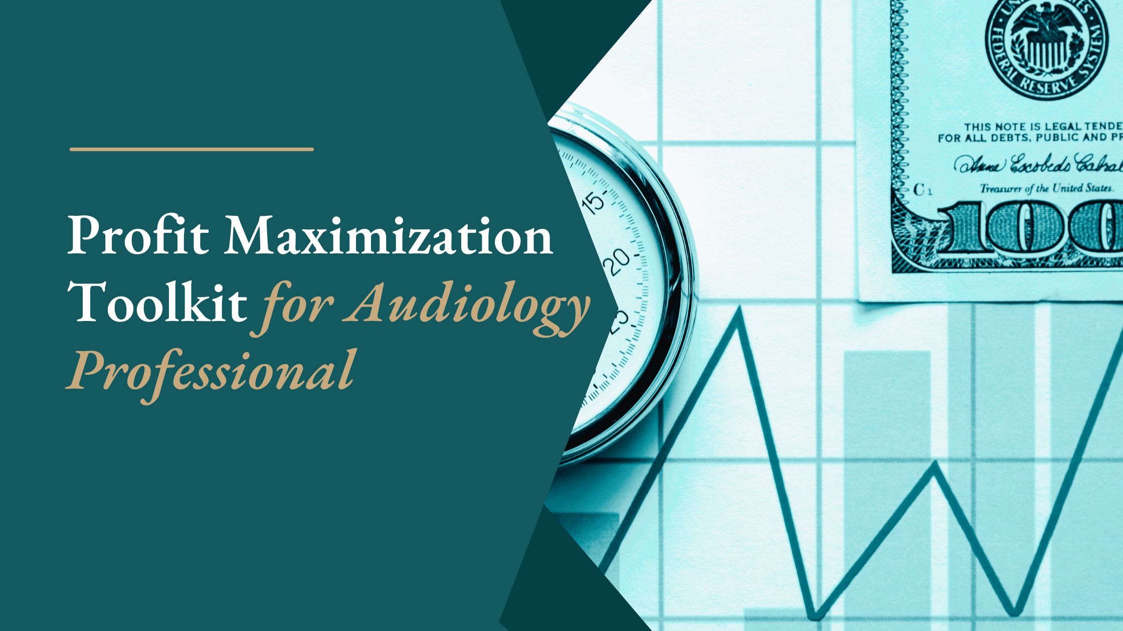 Profit Maximization Toolkit for Audiology Professionals