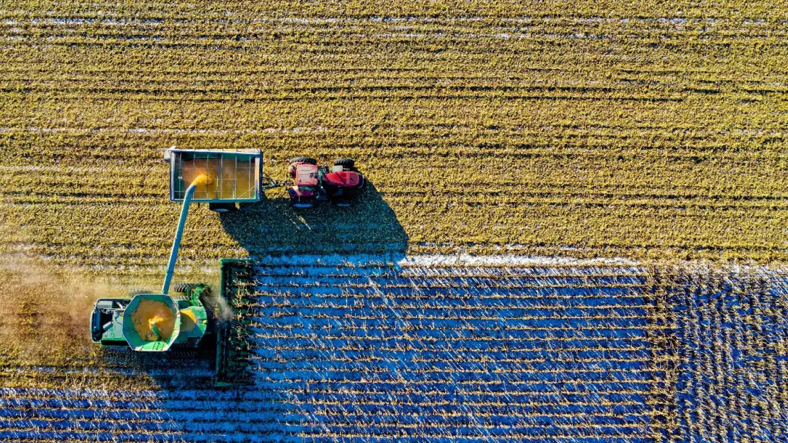A group of people working on a field - Tax Credits