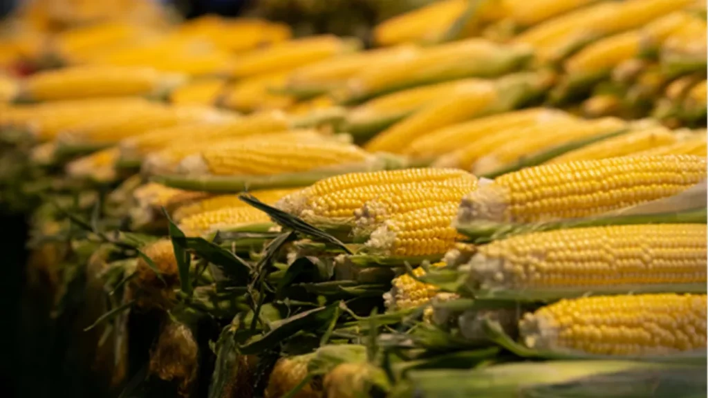 How Asset Tracking Improves Sustainable Growth for Your Farm