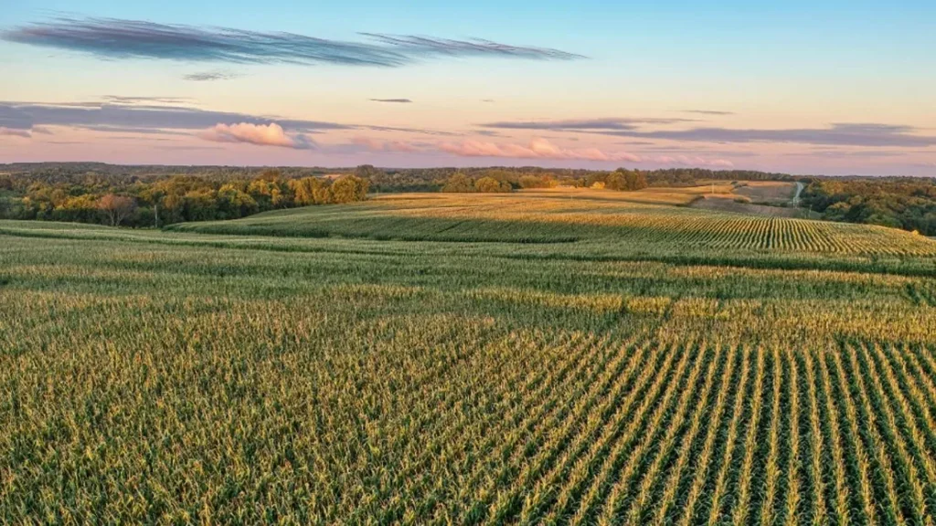 Upgrade Your Tax Strategy with Rural Opportunity Zones