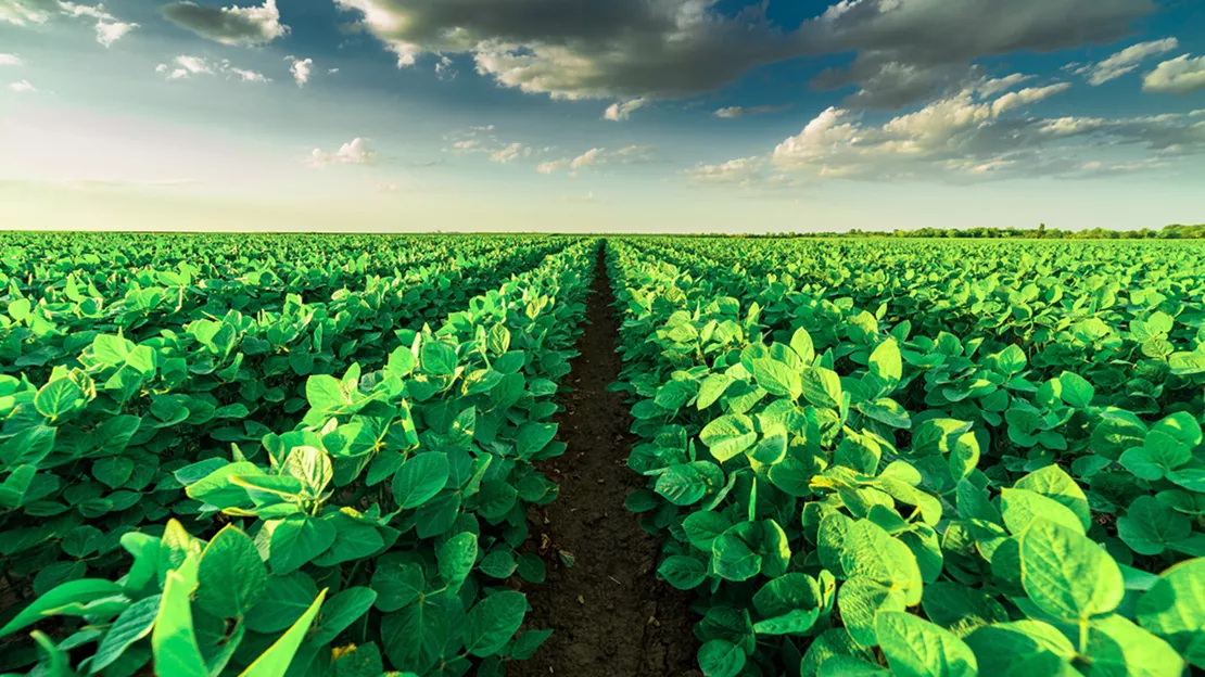 Don’t Let Bumper Crops Raise Your Taxes