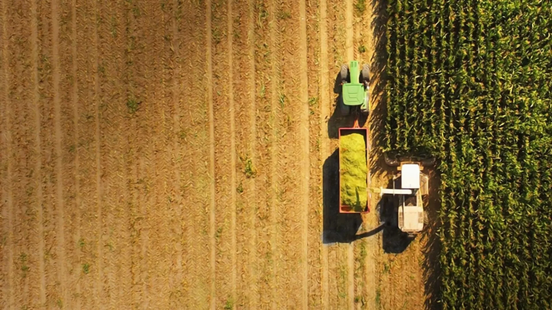 Section 179 vs. Bonus Depreciation