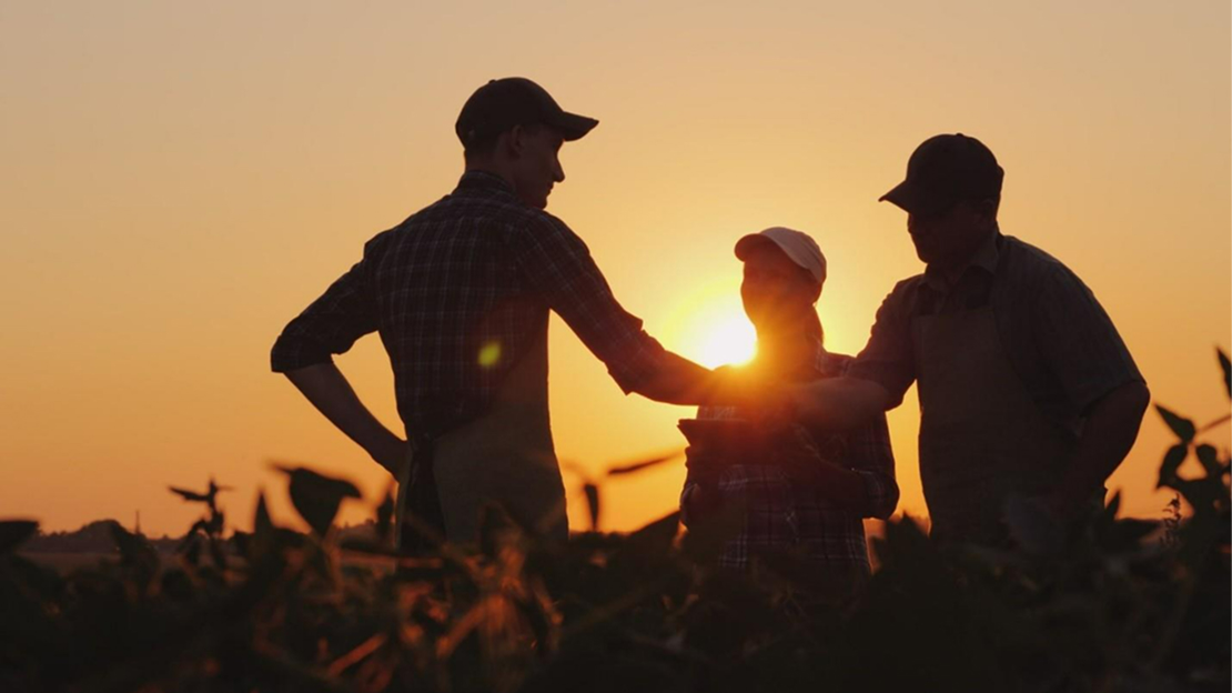 A group of people standing in a field