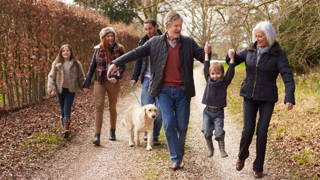 A family is walking along a pathway