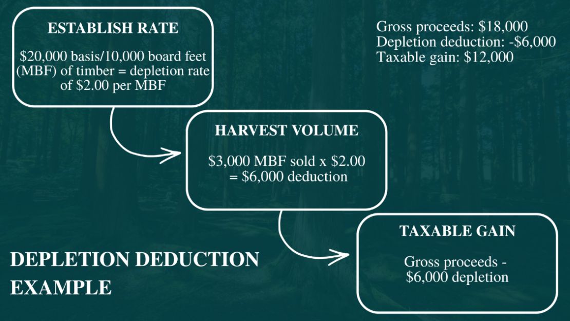 Depletion Deduction Example