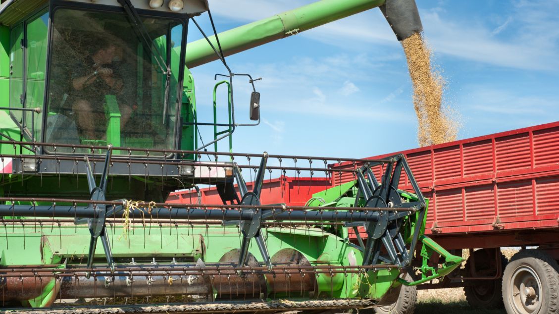Farm Harvester