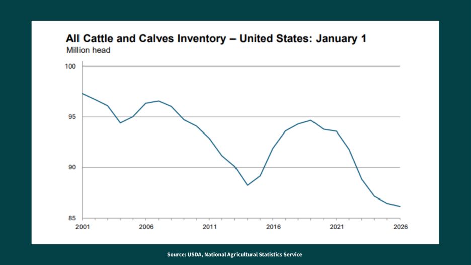 Cattle and Calves Inventory line graph