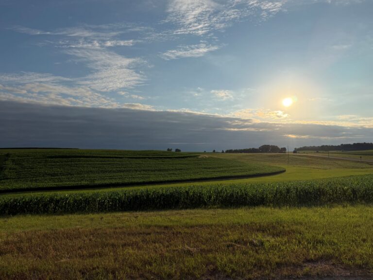 Farmland at sunset